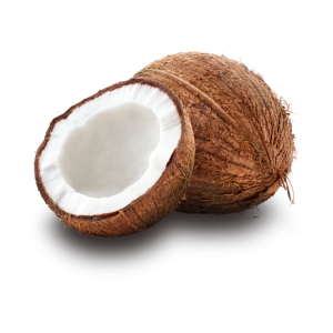 wholesale coconut for sale
