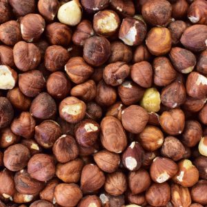 wholesale supply of hazel nuts