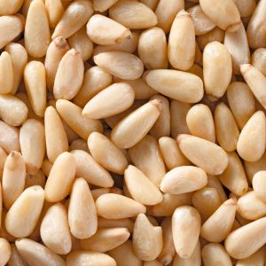 wholesale supply of pine nuts