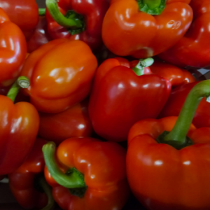 wholesale red pepper for sale