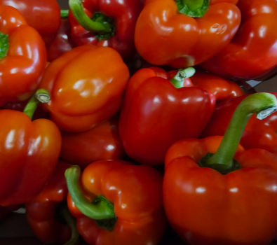 wholesale red pepper for sale