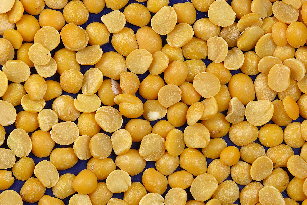 wholesale yellow pea